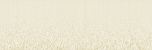 Diffrogram of DX50 with white noise